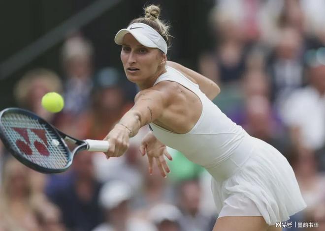 新手在早期 新手在早期